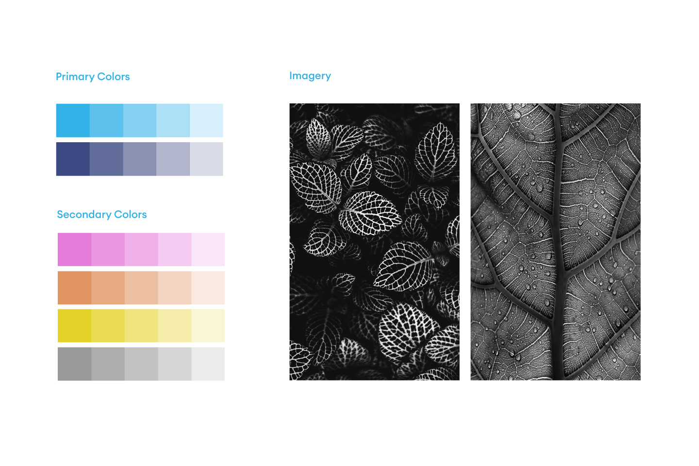 Farbpalette und Moodbilder